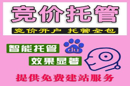 SEM营销推广案例分析：行业领跑者如何打造品牌